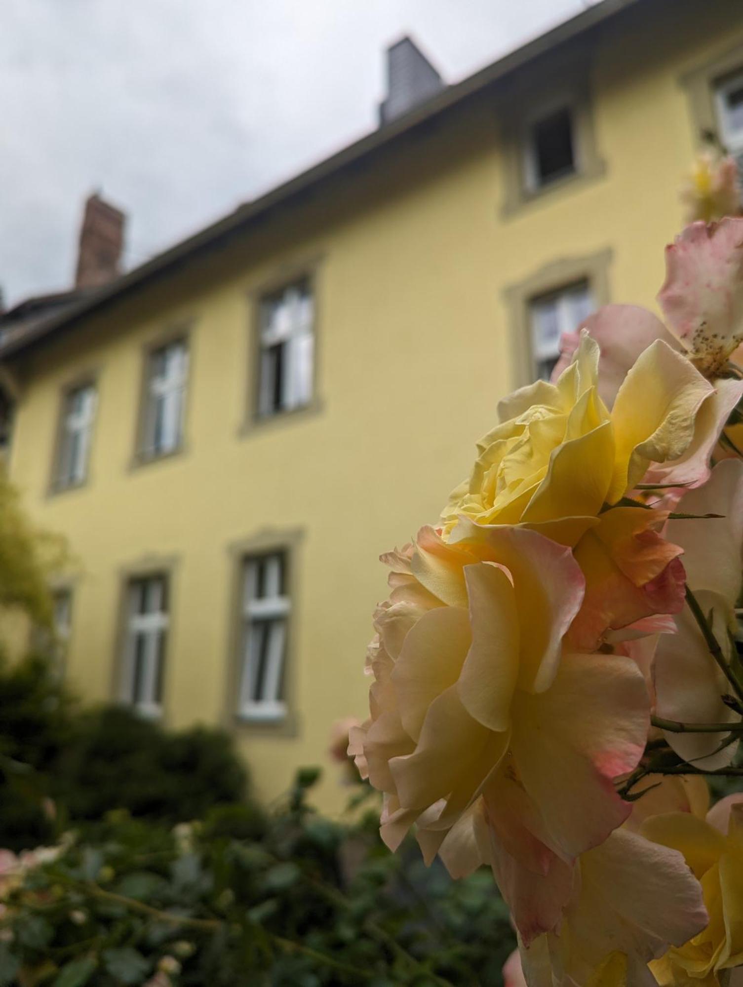 Atelier Wolkenschloss Wernigerode Buitenkant foto